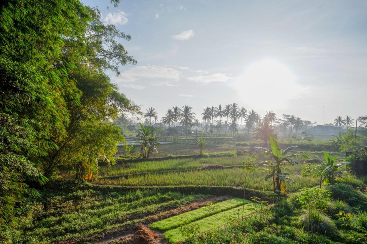 Reddoorz Syariah At Omah Sawah Hotel Balong  Kültér fotó